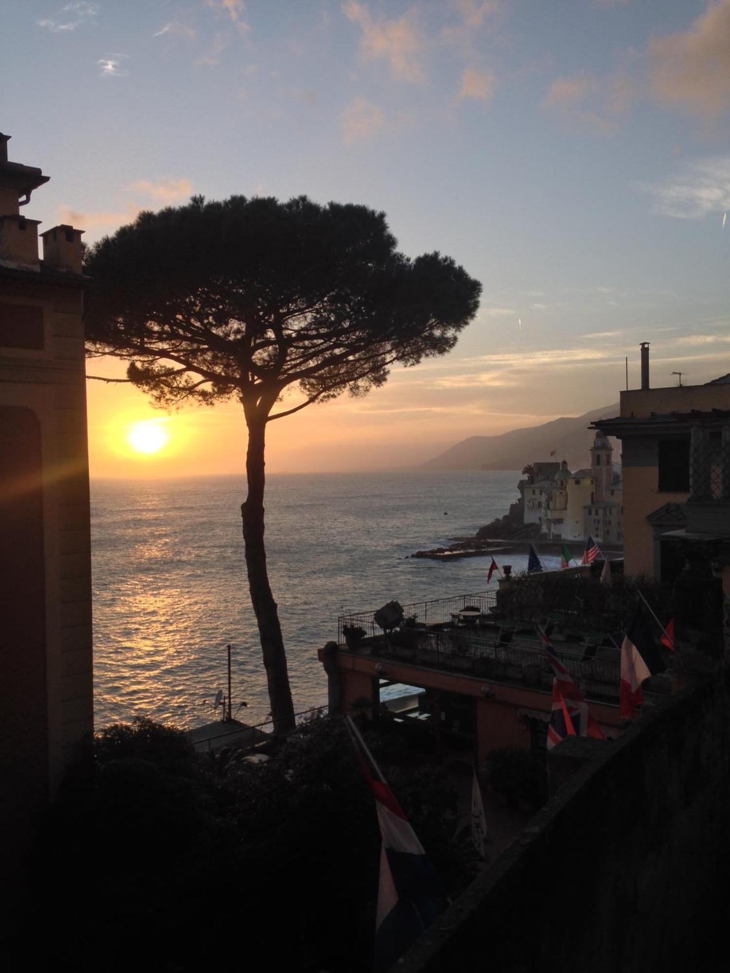 A Un Passo Dal Mare Apartment Camogli Exterior foto